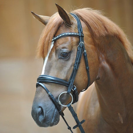 Kavalkade Mia Crank Dressage Bridle w/Reins