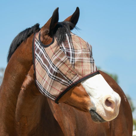 Kensington Signature UV Web Trim Fly Mask
