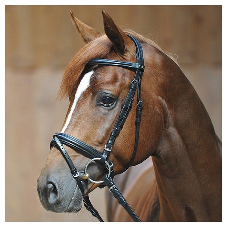 Kavalkade Ravenna Crank Noseband with Flash Bridle