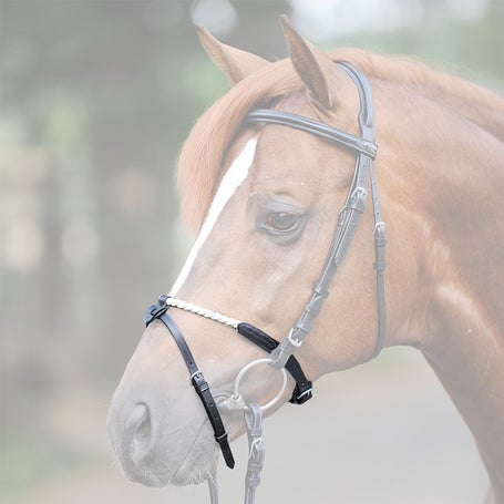 Detachable Horse Leg Straps – Premier Equine Int. Ltd.