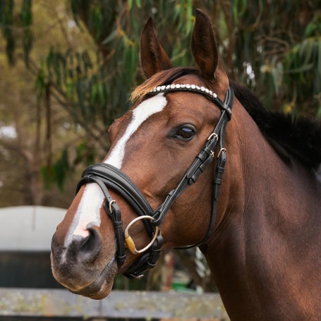 Kavalkade Zora German Leather Padded Adjustable Bridle 