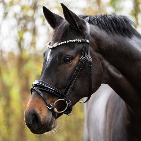 Kavalkade Zora German Leather Padded Adjustable Bridle 