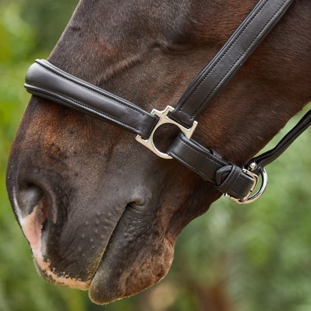 Signature Padded Horse Halter -S5000, Leather Halter