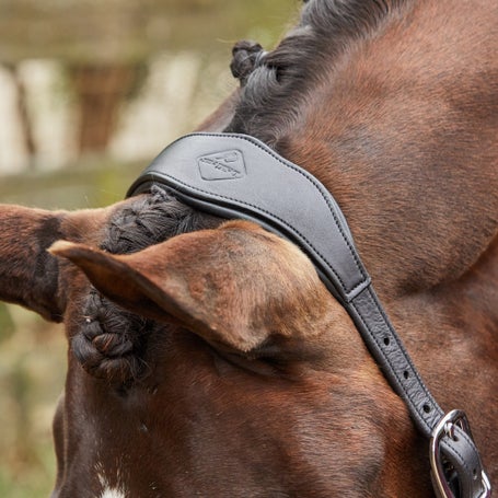 Premium Padded Anatomic Leather Headcollar - Unicorn Tack