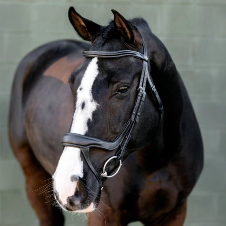 LeMieux Arika Split Noseband Bridle