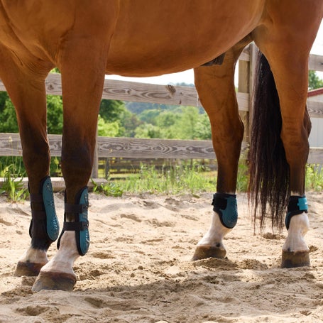 Lami-Cell Aurora Tendon & Fetlock Boots Complete Sets