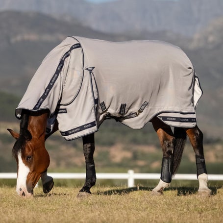 LeMieux Gladiator Fly Rug Sheet