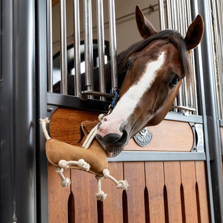 LeMieux Horse Toy- Medium Riding Warehouse