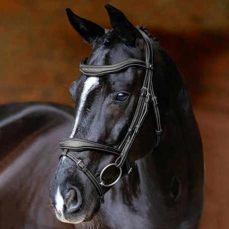 LeMieux Kudos Anatomic Contour Flash Bridle