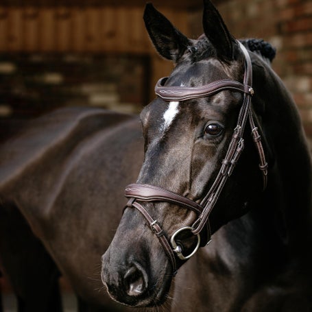LeMieux Kudos Anatomic Contour Flash Bridle