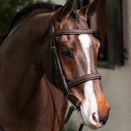 LeMieux Leather Stitched Hunter Bridle with Laced Reins