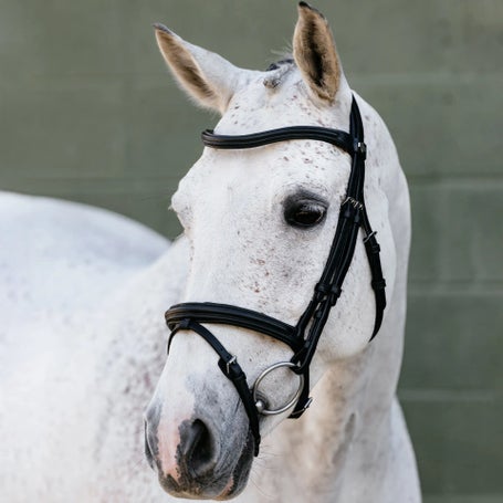 LeMieux Arika Anatomical Padded Flash Bridle