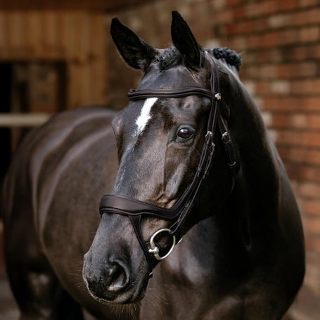 LeMieux Arika Split Noseband Bridle