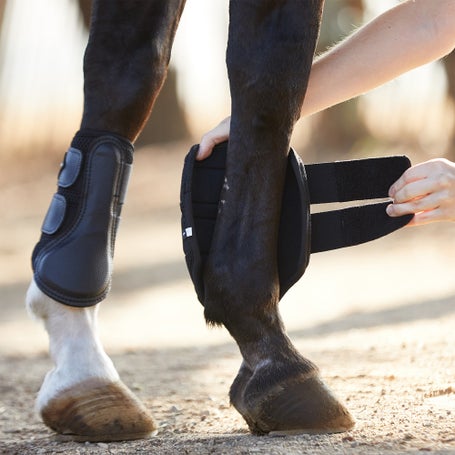 lemieux tendon boots