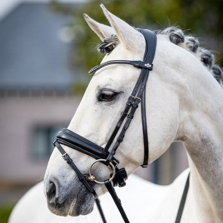 LeMieux Dressage Bridle