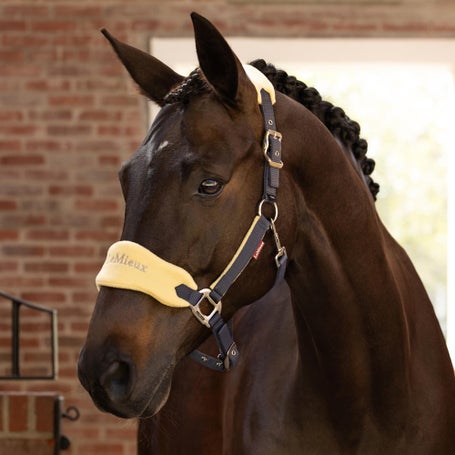 LeMieux Spring Vogue Headcollar Halter & Leadrope