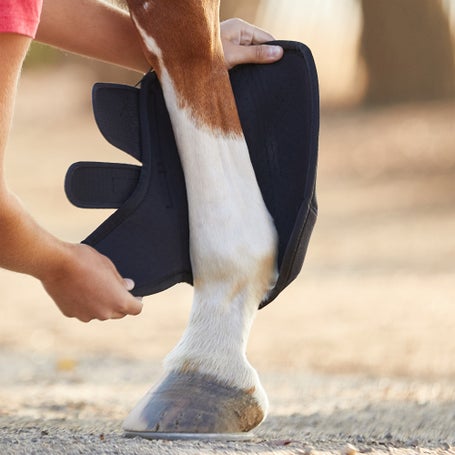 Horse Blanket Leg Straps -Adjustable - Stretch - Sold as a pair, elastic  leg straps for horse blankets 
