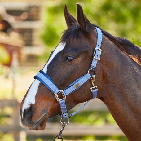 LeMieux Versailles Adjustable Halter