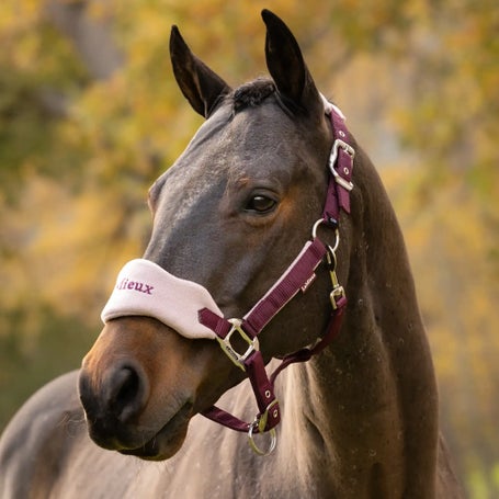 LeMieux Vogue Headcollar Halter & Leadrope