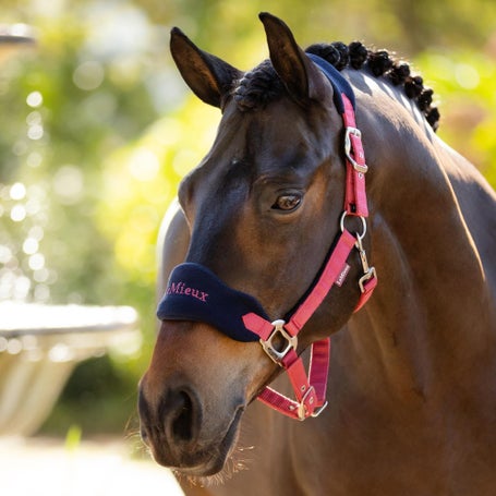 LeMieux Fall Vogue Headcollar Halter & Leadrope
