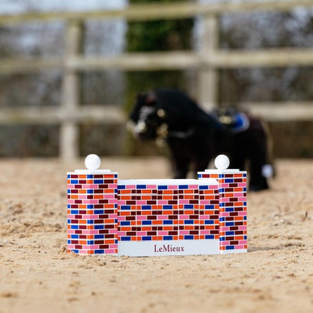 Mini LeMieux Pony Collection Toy Puissance Wall