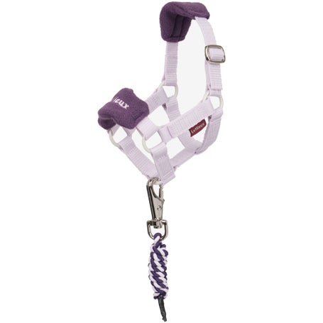 Mini LeMieux Fall Pony Toy Vogue Headcollar & Leadrope