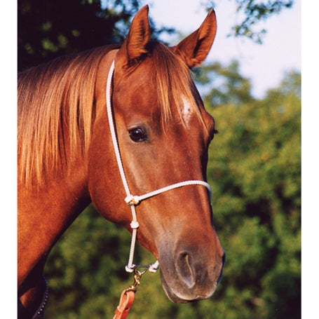 Martin Saddlery Rope Headsetter Tiedown Riding Warehouse