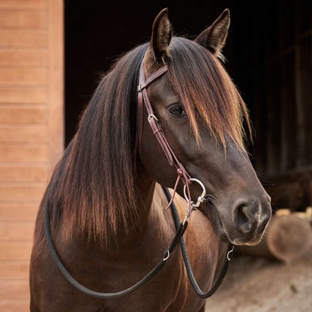 Martin Saddlery 5/8 Doubled & Stitched Headstall