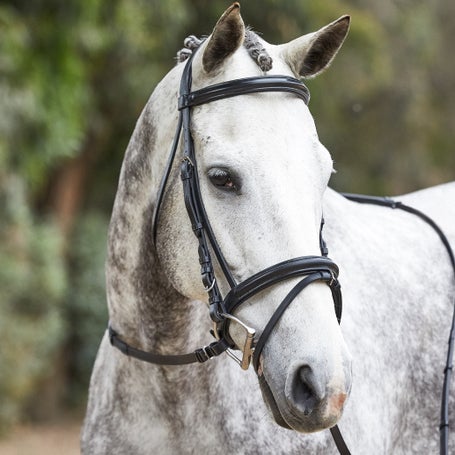 Nunn Finer Charlotte Dressage Bridle With Flash