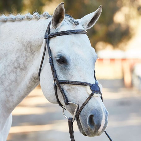 Nunn Finer Stefania Figure 8 Bridle & Reins