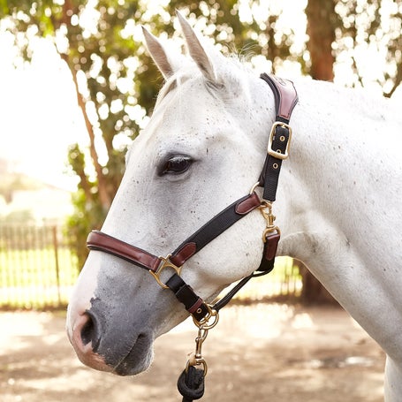 Ovation Luxor Cushion-Flex Ergonomic Adjustable Halter