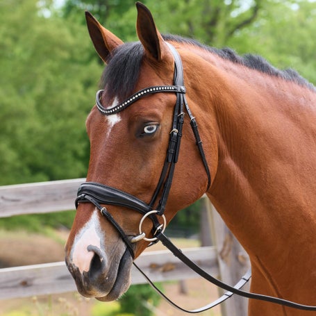 Passier PASSIERBLU Spirit Snaffle Dressage Bridle