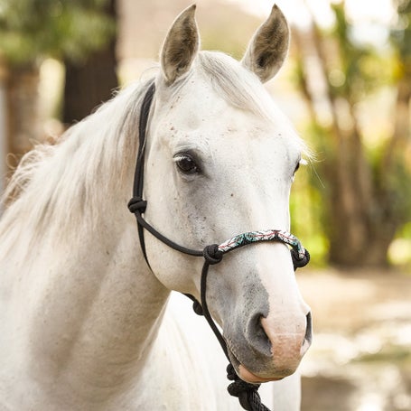 Professionals Choice Beaded Rope Halter & Leadrope