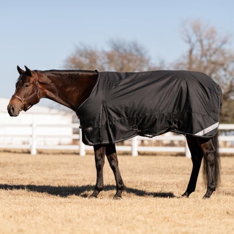 Professionals Choice 600D Turnout Blanket 240G