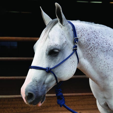 Professionals Choice Easy On Rope Halter & Leadrope