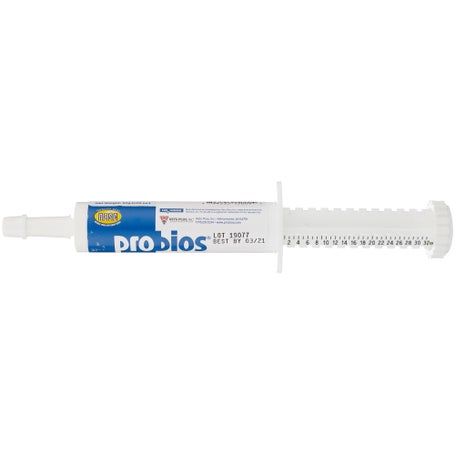 Probios Microbial Probiotic Equine One Oral Gel/Paste