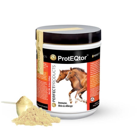 Perfect Products ProtEQtor Immune/Allergy Powder