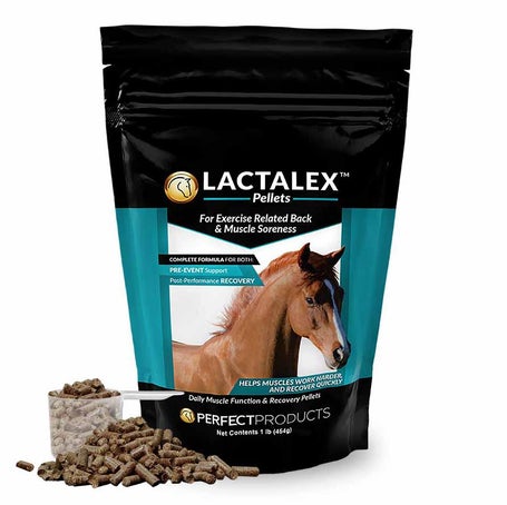 Perfect Products Lactalex Daily Muscle Recovery Pellets