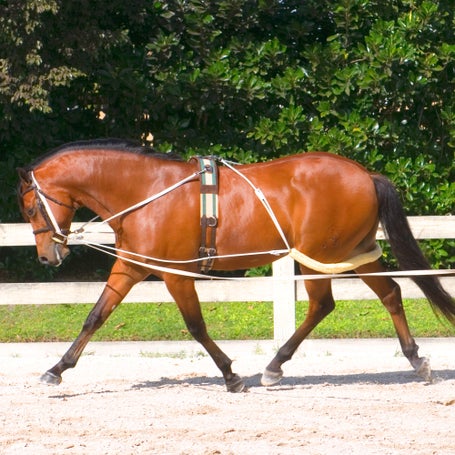 Pessoa Balance & Topline Lungeing System