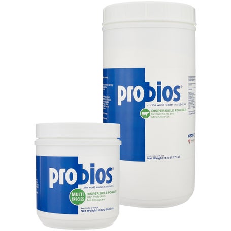 Probios Microbial Probiotic Dispersible 5lb/181 Days 