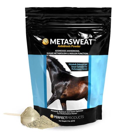 Perfect Products MetaSweat Anhidrosis Powder