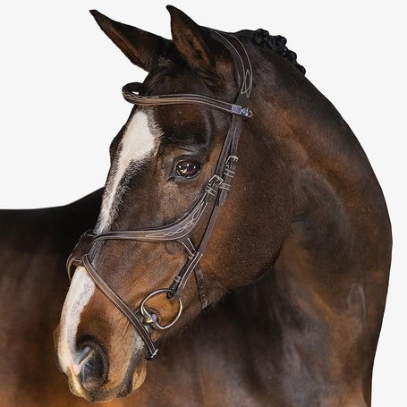 PS of Sweden Athens Anatomical Figure 8 Bridle