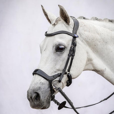 PS of Sweden Pioneer Anatomic Bridle