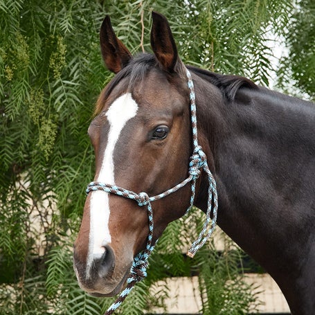 Reinsman Diamond R Rope Halter w/ 10 Lead