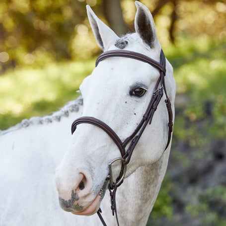 Royal Double Snaffle Leather Belts - Bridles & Reins