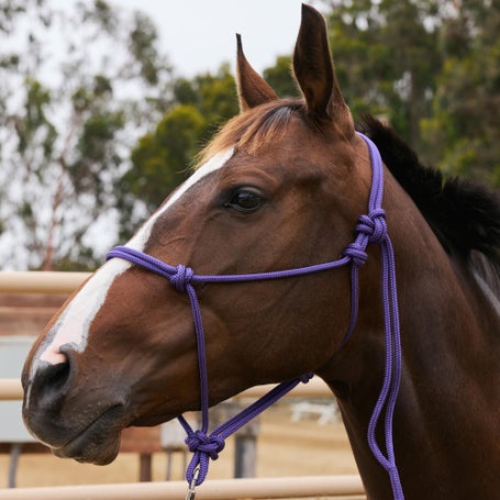RJ Manufacturing Rope Halter