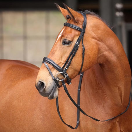 Shires Avignon Aspen Dressage Bridle