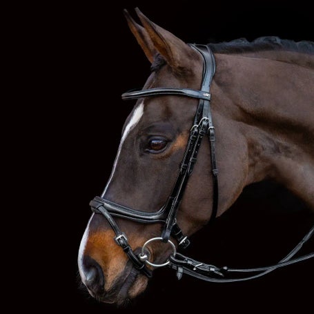 Schockemoehle Ancona Anatomical Select Bridle