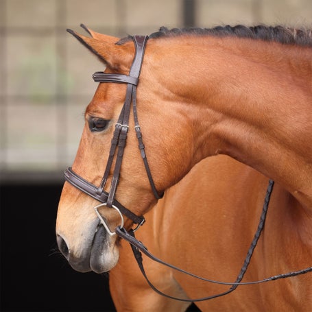 Shires Avignon Wellington Hunter Bridle