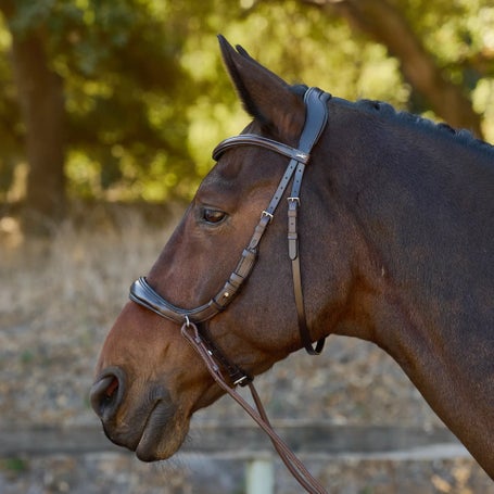 Schockemoehle Equitus Theta Anatomic 3-in-1 Bridle